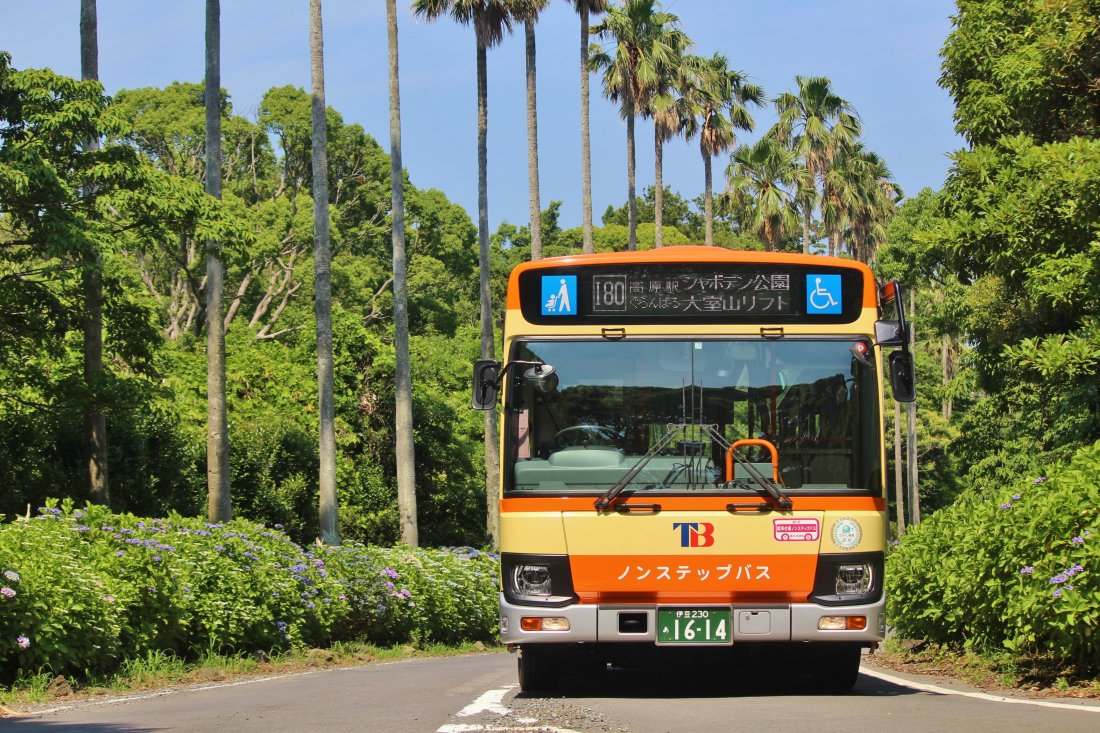 東海バスフリーきっぷ 伊東 伊豆高原２日券 小室山リッジウォーク ｍｉｓｏｒａ リフト往復券 路線バス 東海バス