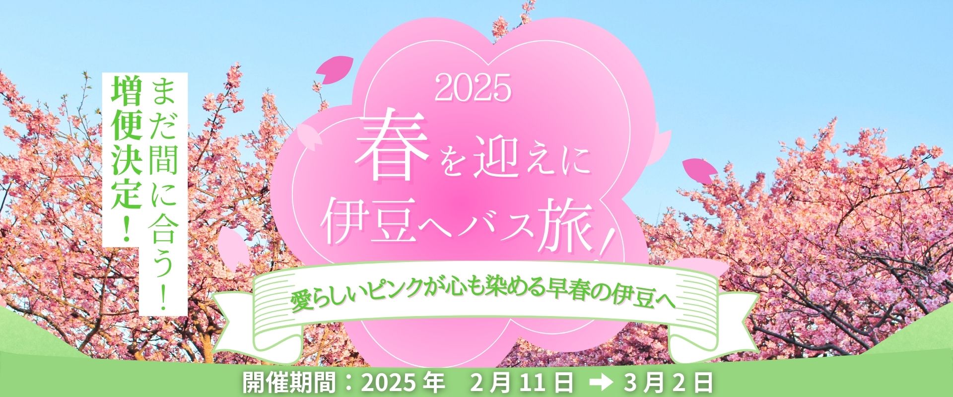 早咲きの桜特集