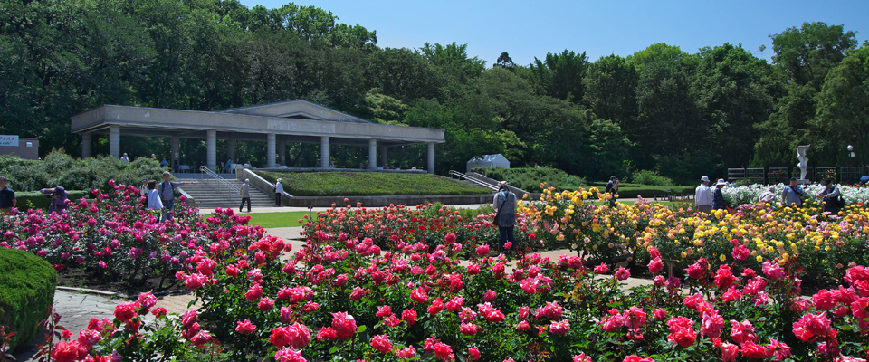 神代植物公園P045_1[1]
