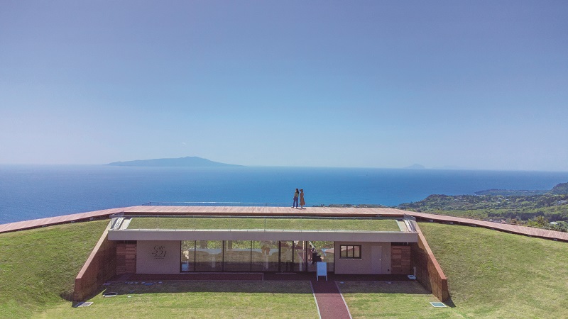 ドローン(大島)