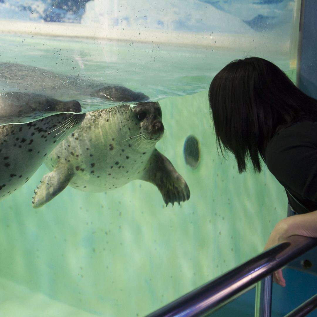 下田海中水族館