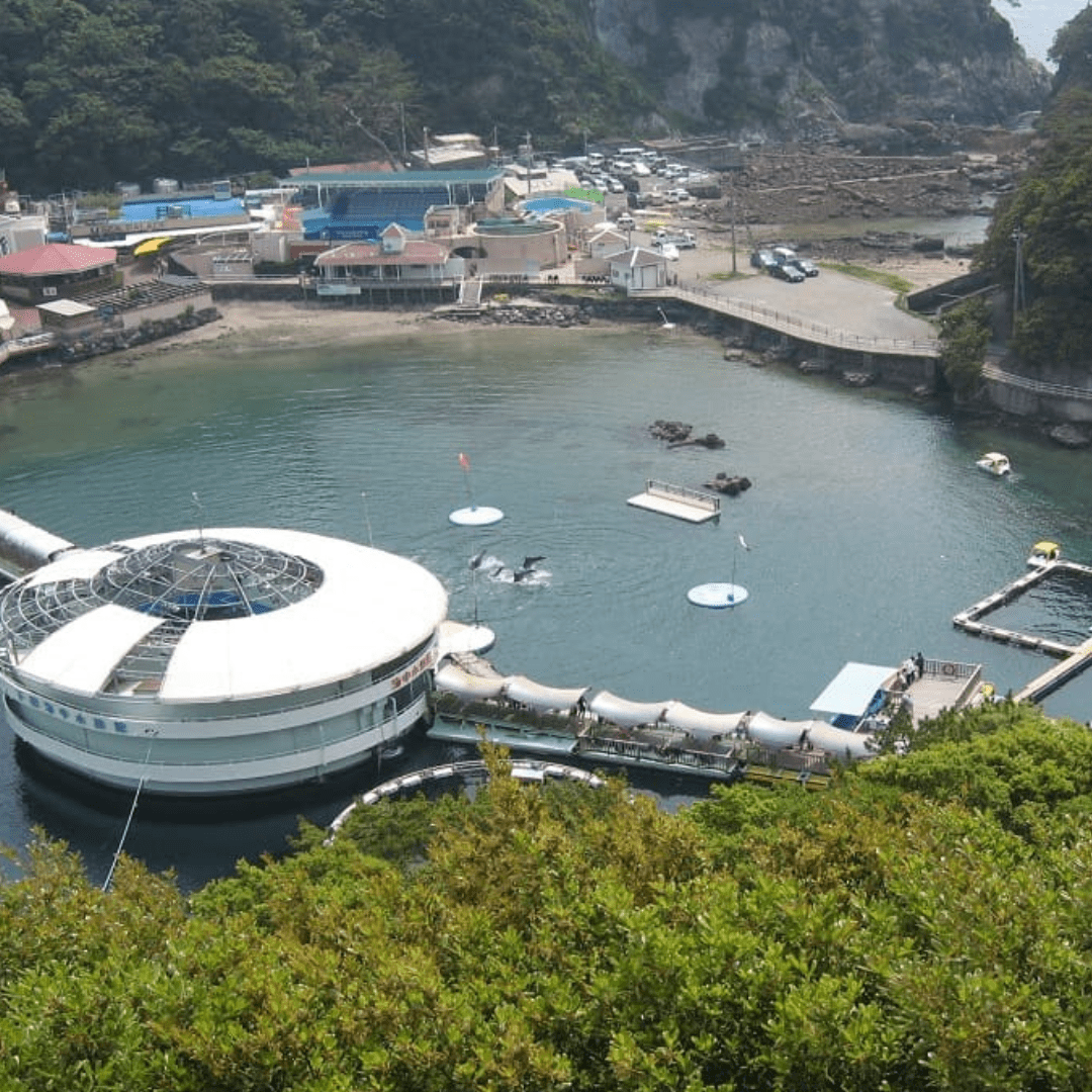 下田海中水族館