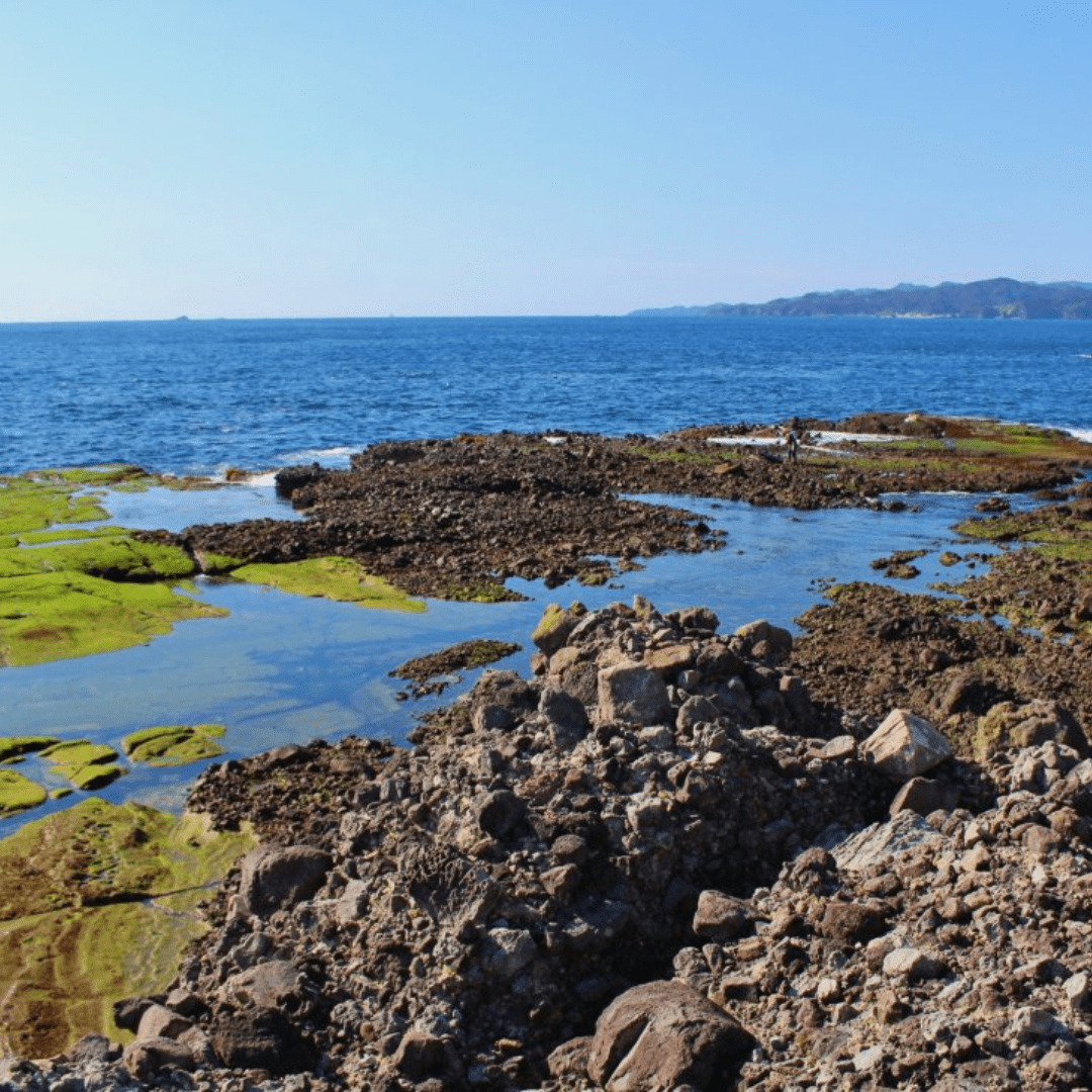 須崎海岸
