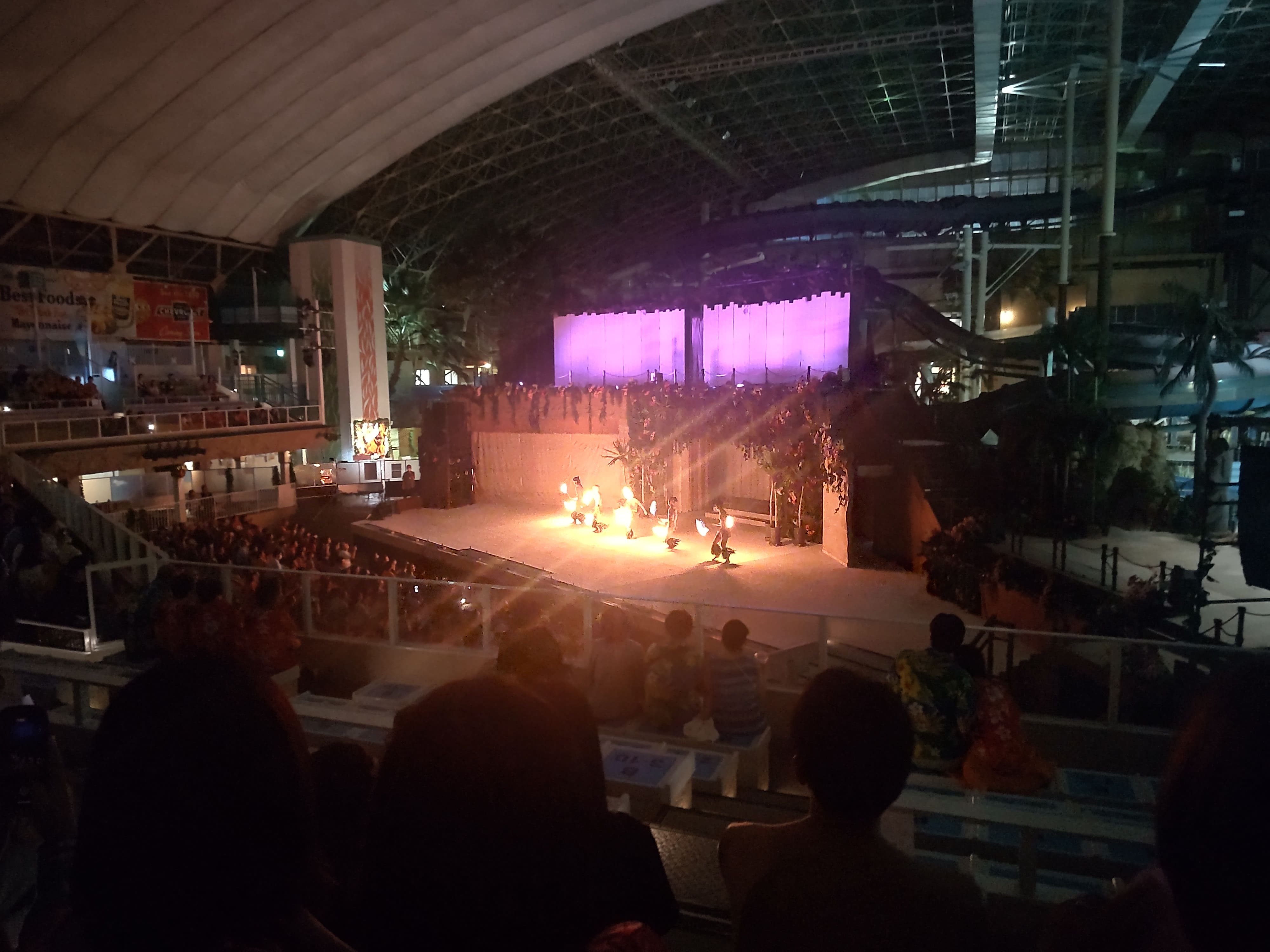 〇ファイヤーショー（5名）DSC_3334