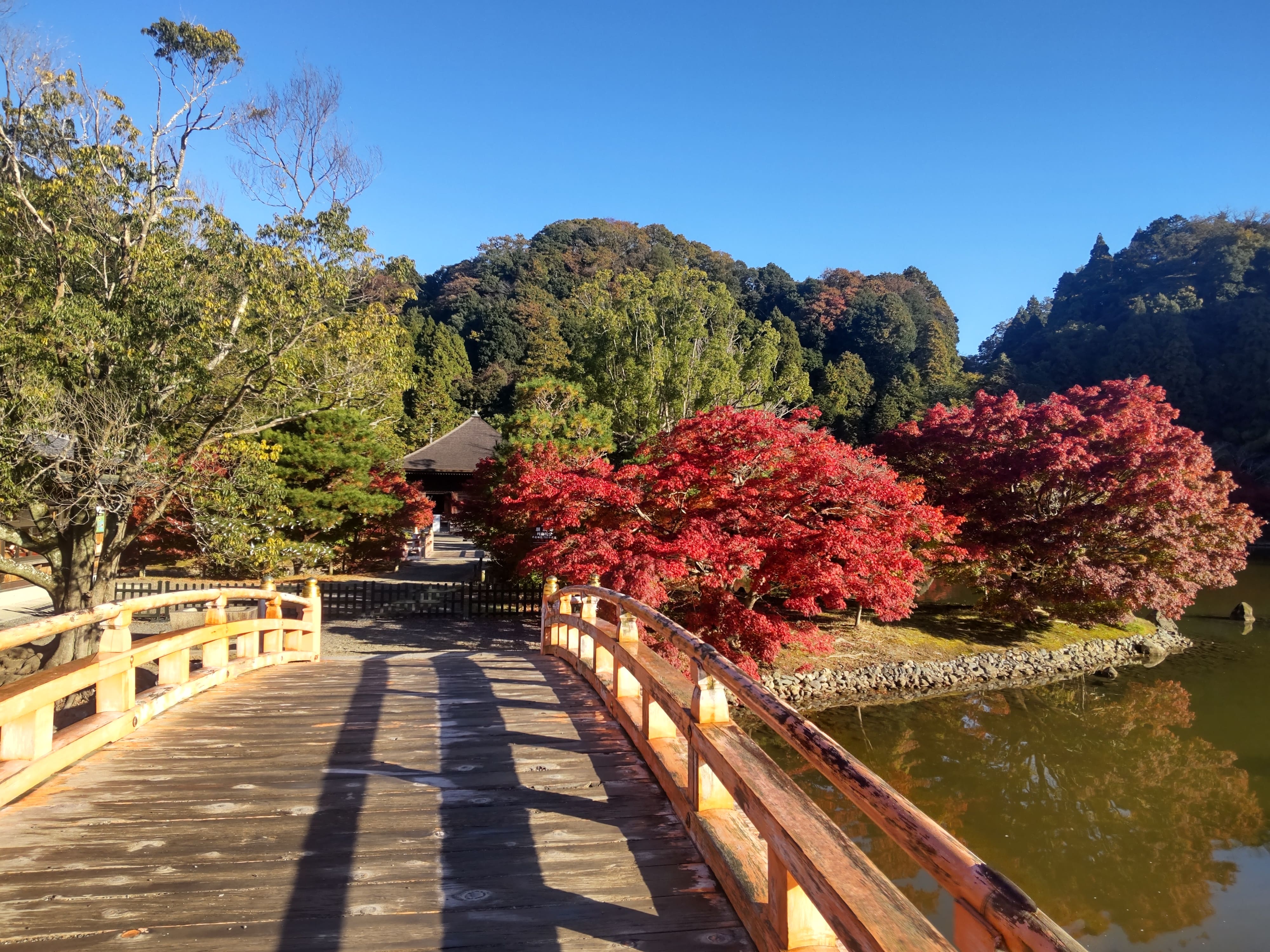 白水阿弥陀堂（橋と紅葉と阿弥陀堂）DSC_3342