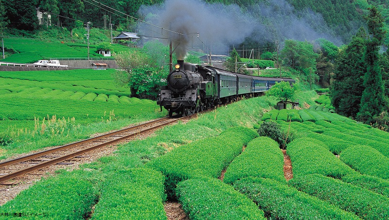 大井川鐡道SL.2