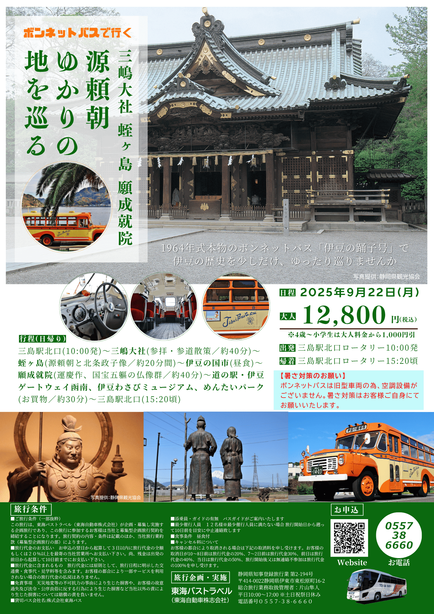 着地型：ボンネット源頼朝圧縮後