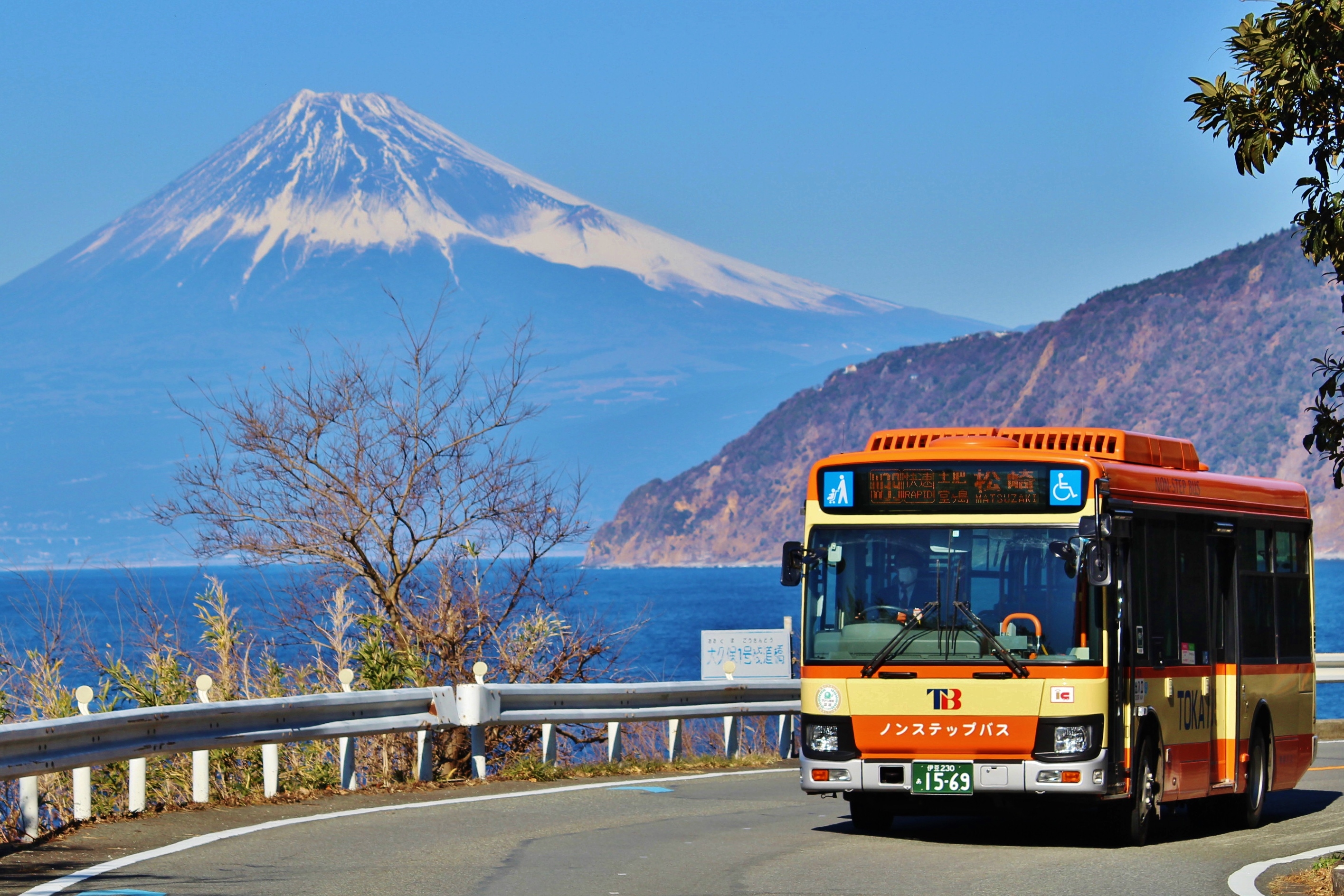 20230110　大久保　松1569 (1)