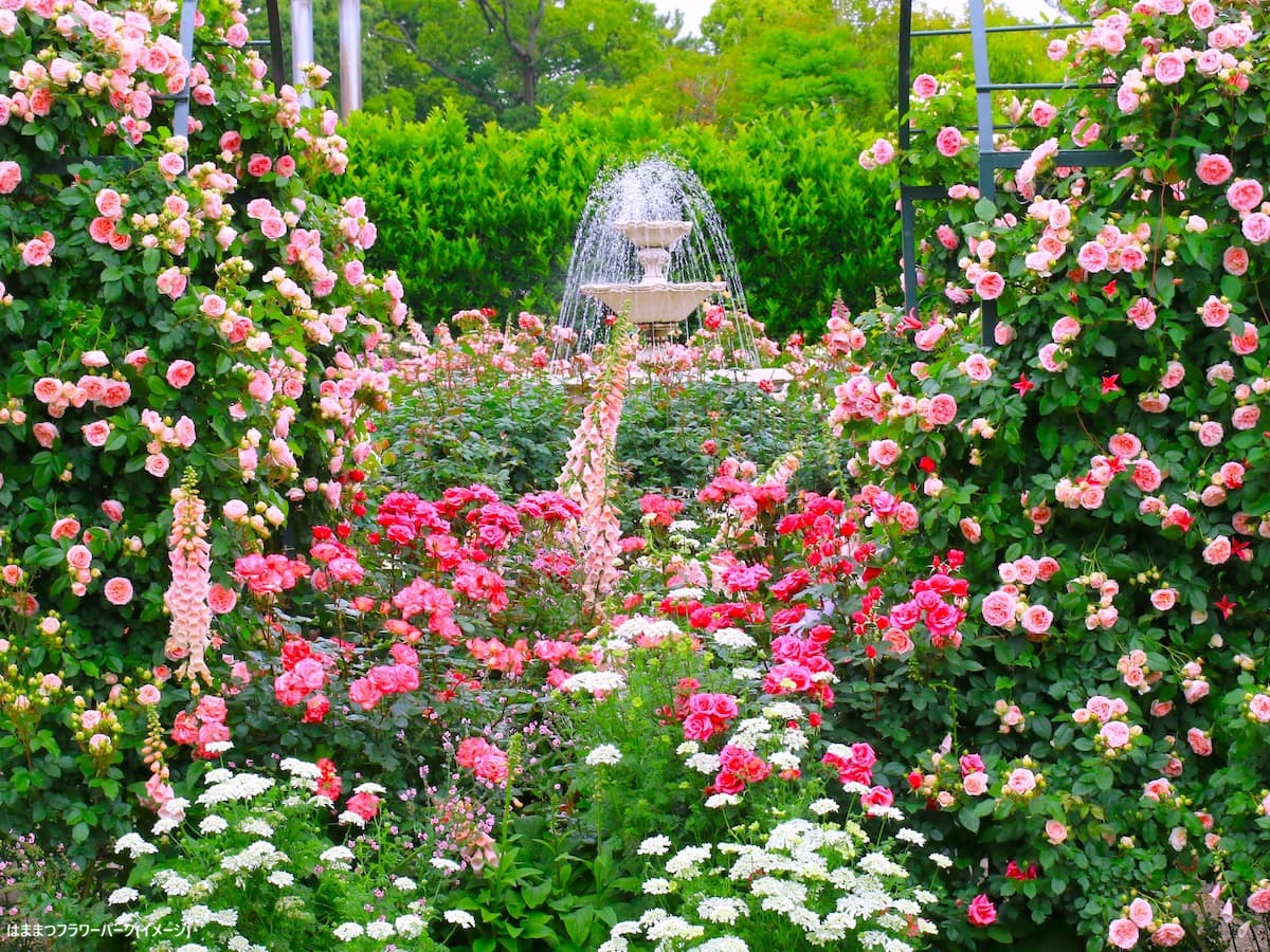 05 ローズガーデン【5月上旬~6月上旬】