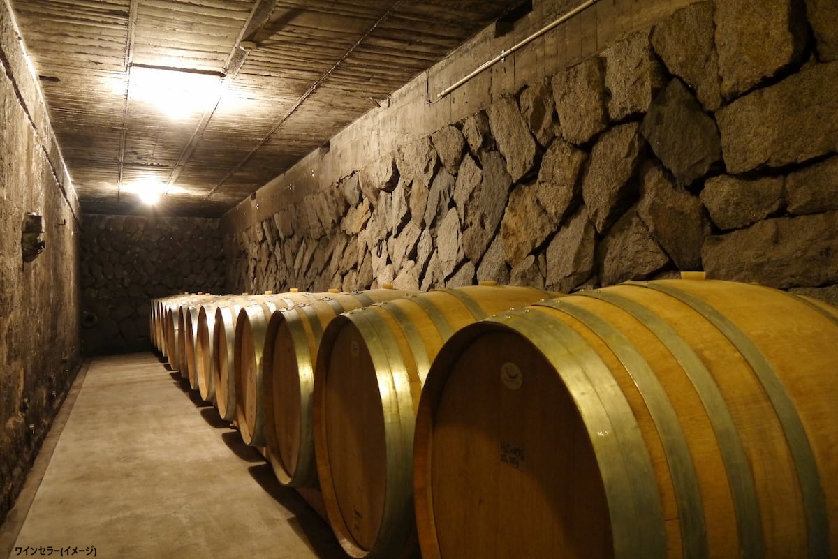 地下ワインセラー