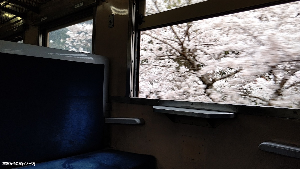 (春)車窓より桜⑨