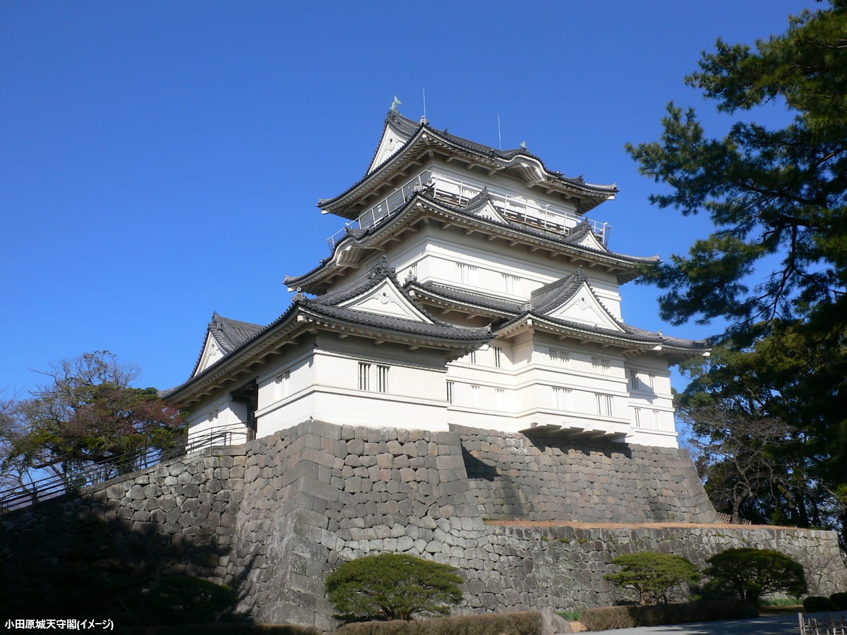 小田原城天守閣(「提供:公益社団法人神奈川県観光協会」)233
