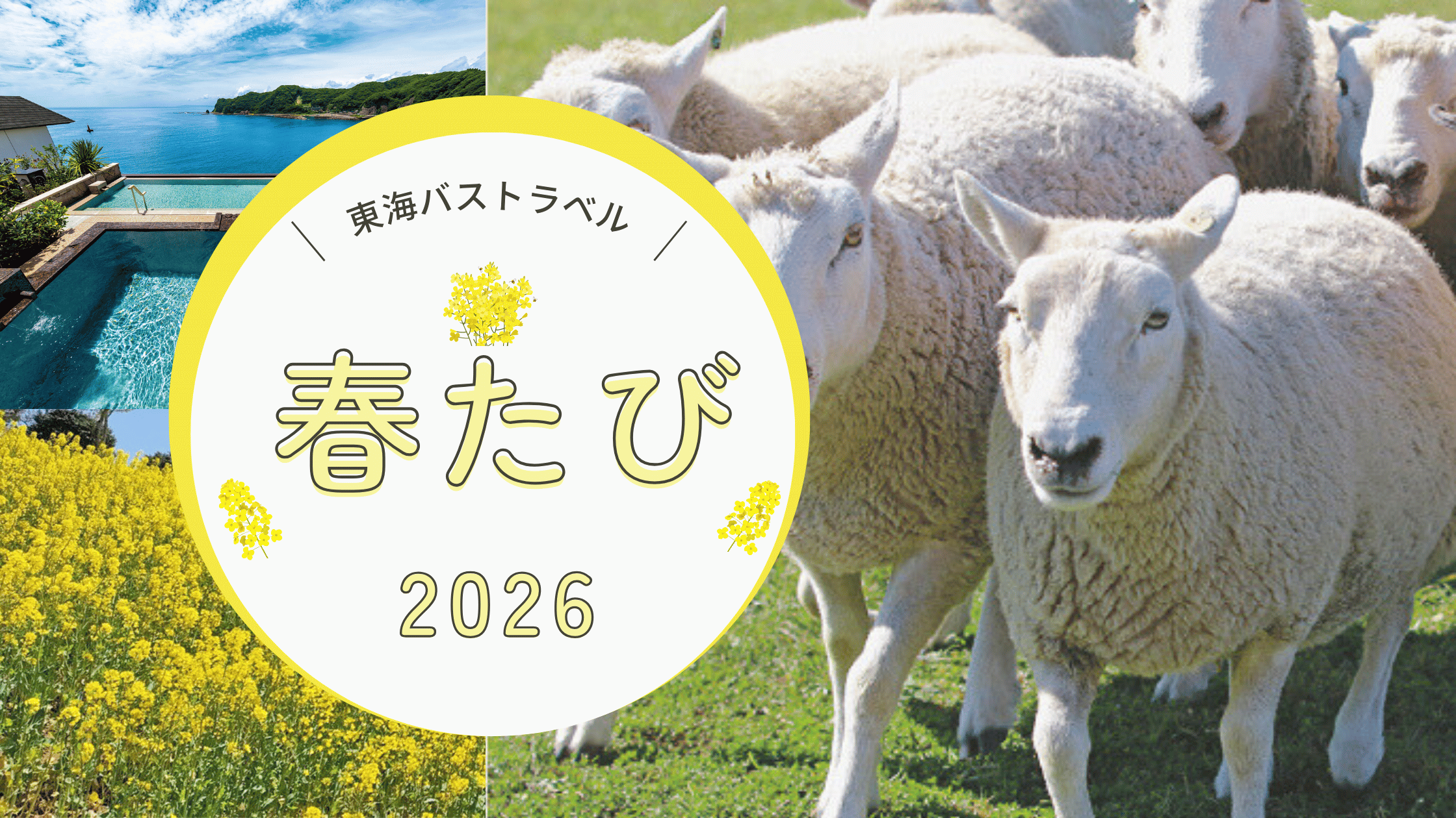 おすすめ情報バナー (1)