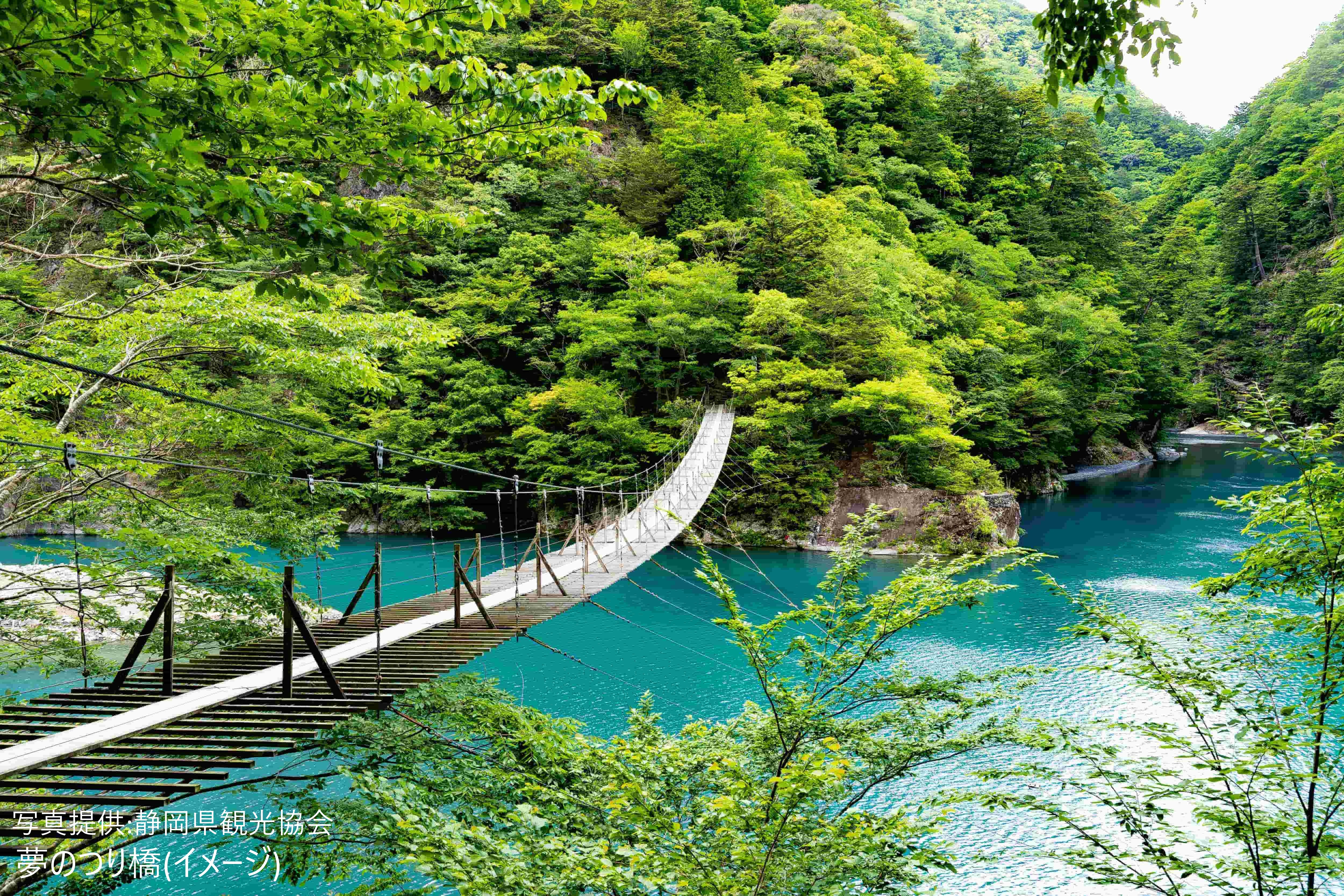 夢のつり橋(夏）Q59BYPGxaWr7wZrLyTDGVoCyurWmnXcT7zUzzOr6(1)