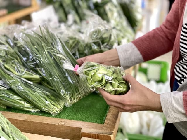 野菜販売(イメージ)