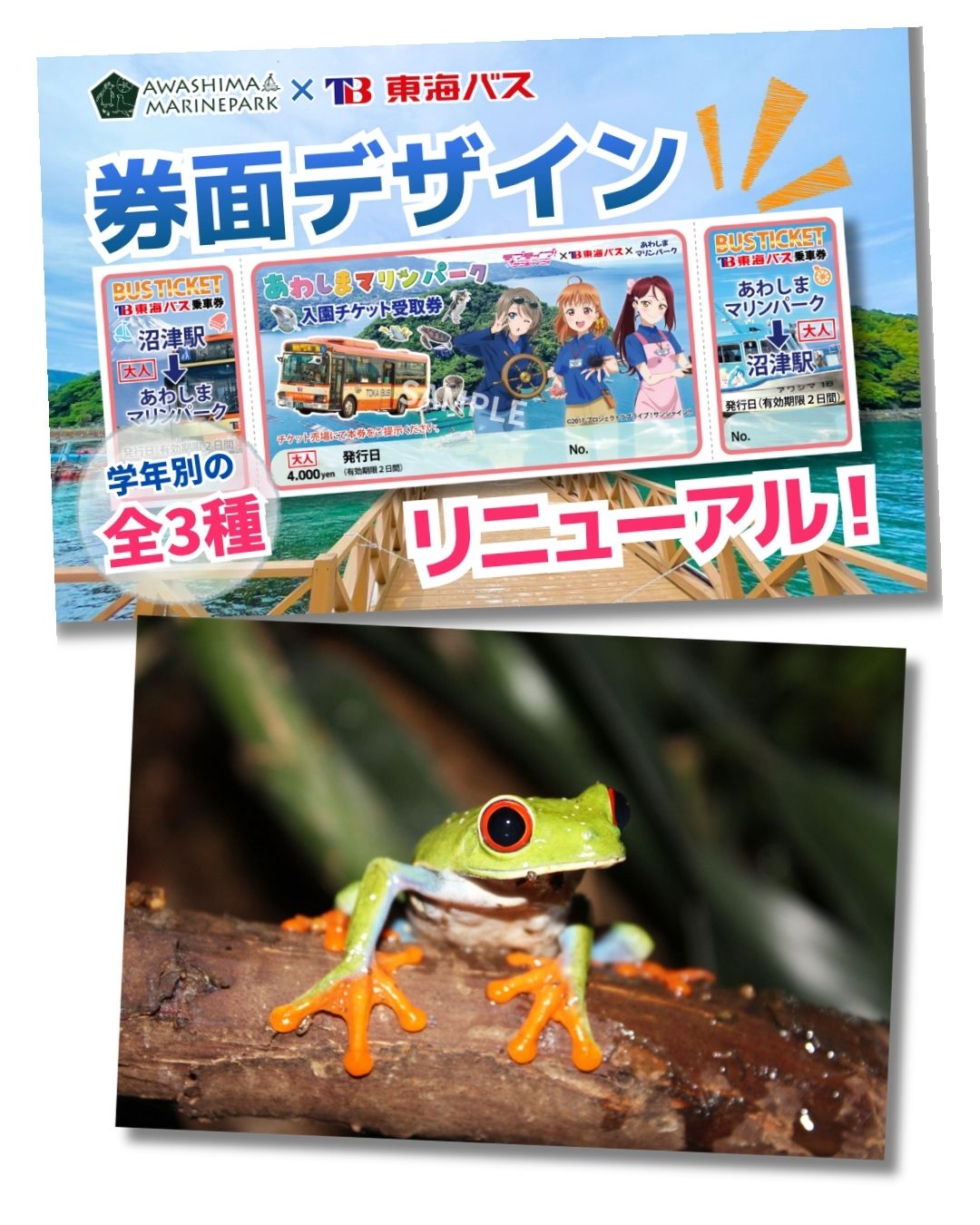 あわしまHP素材
