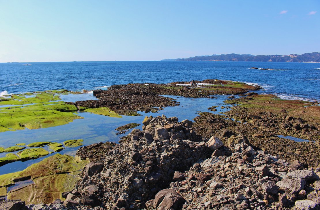 恵比須島